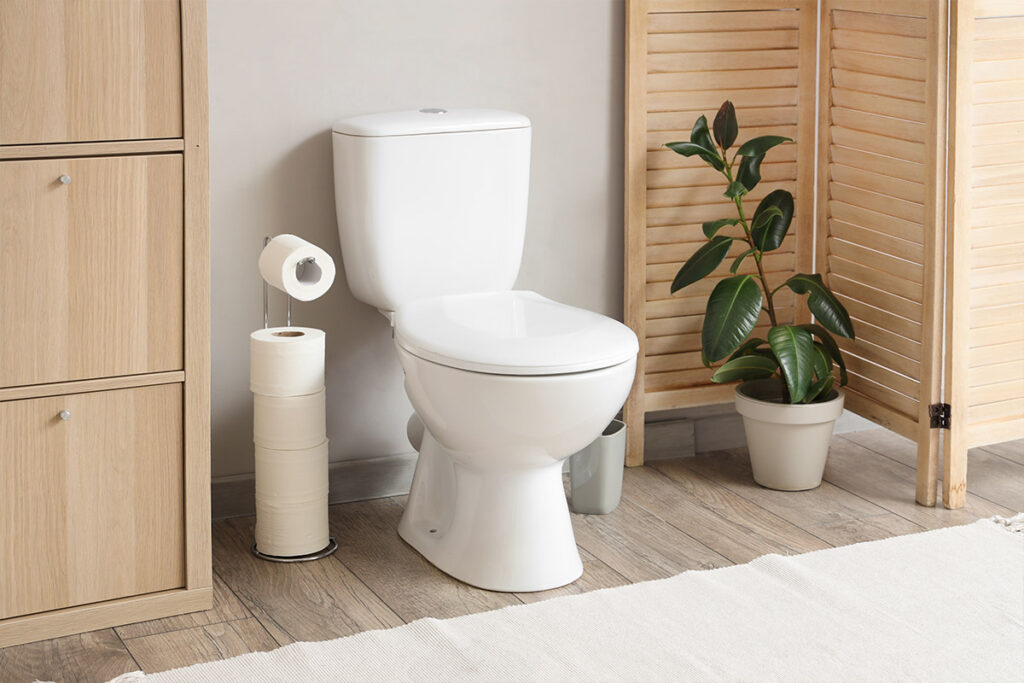 WC monoblocco
