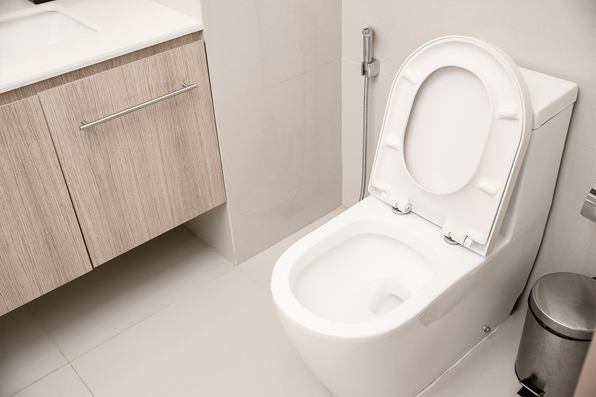 WC monoblocco